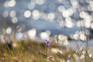 Similar image 21383492