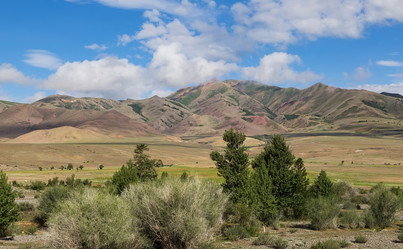 Similar image 21383493