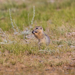 Similar image 21383503