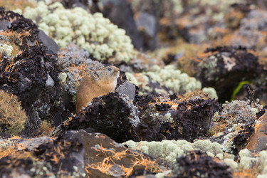 Similar image 21383507