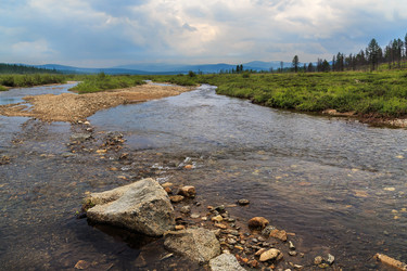 Similar image 21383516