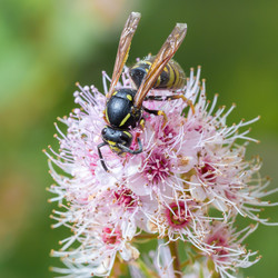 Similar image 21383524