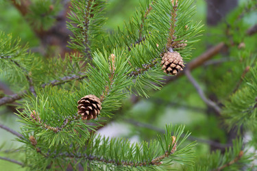 Similar image 21383526