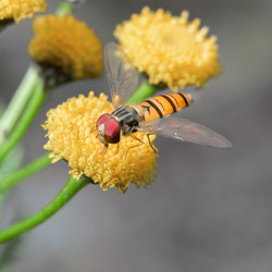 Similar image 21383536