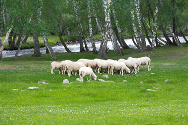 Similar image 21383539