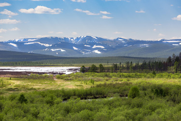 Similar image 21383540