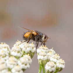 Similar image 21383541