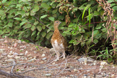 Similar image 21383544