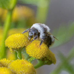 Similar image 21383545