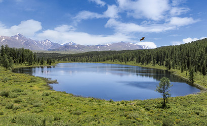 Similar image 21383546