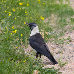 Similar image 21383548