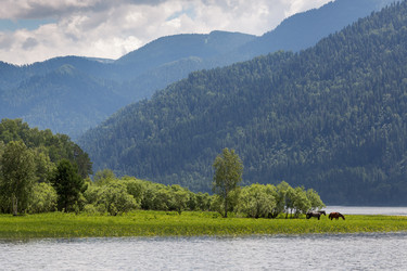 Similar image 21383551