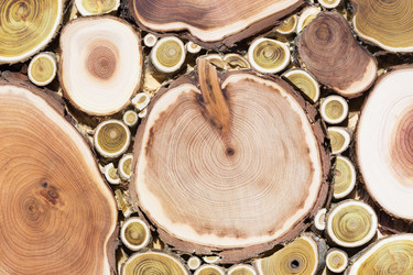 Similar image 21383552