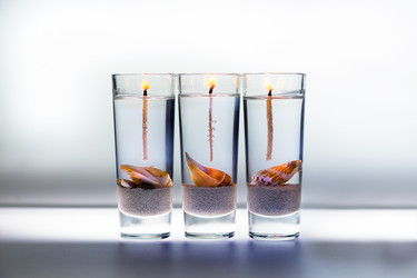 Similar image 21383555