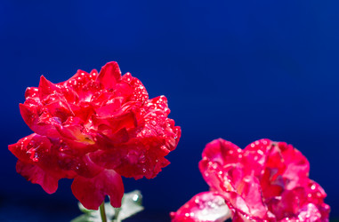 Similar image 21385977