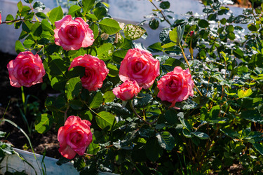 Similar image 21385978