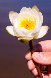 Similar image 21385982