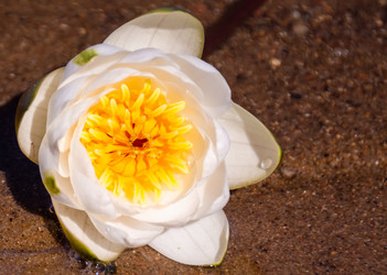 Similar image 21385985