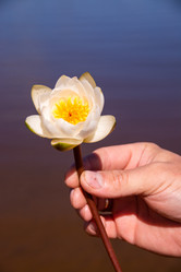 Similar image 21385986