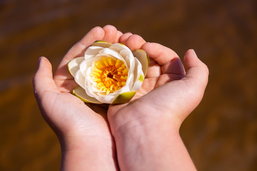 Similar image 21386108