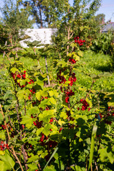 Similar image 21386111