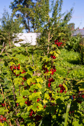 Similar image 21386112