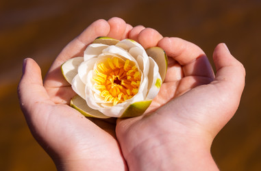 Similar image 21386250