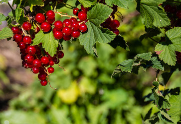 Similar image 21386251