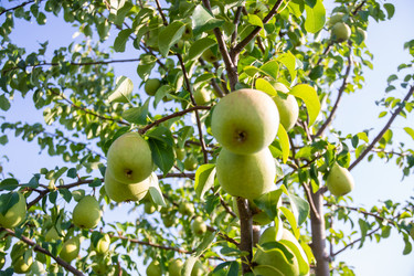 Similar image 21386254