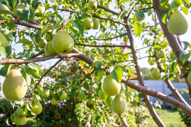 Similar image 21386256