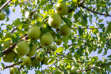 Similar image 21386258