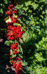 Similar image 21386259