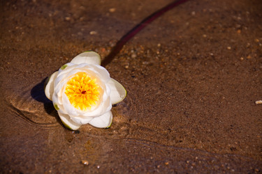 Similar image 21386264