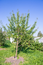 Similar image 21386267