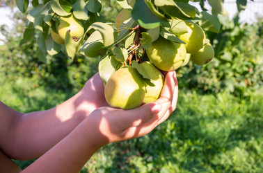 Similar image 21386271