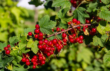 Similar image 21386272