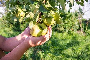 Similar image 21386273