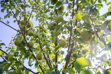 Similar image 21386275