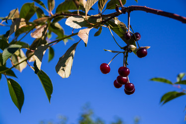 Similar image 21386276