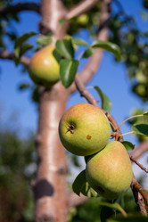 Similar image 21386277