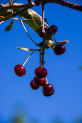 Similar image 21386278