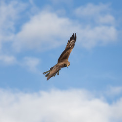 Similar image 21383565