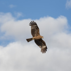 Similar image 21383569