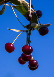 Similar image 21386280