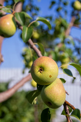 Similar image 21386282