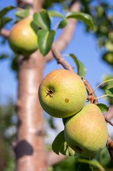 Similar image 21386283