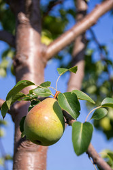 Similar image 21386284