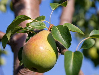 Similar image 21386287