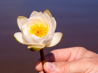 Similar image 21386288