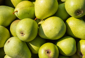 Similar image 21385992